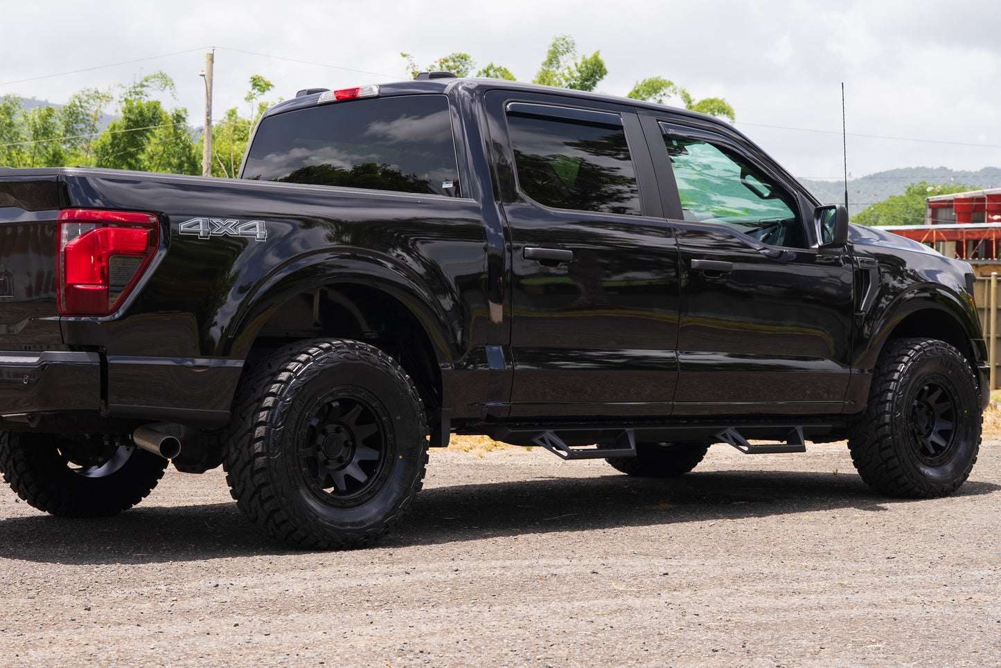 FORD F150 2017-2027 DOUBLE CAB NERF BARS
