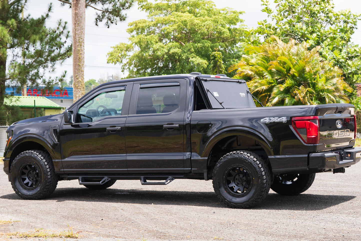 FORD F150 2017-2027 DOUBLE CAB NERF BARS