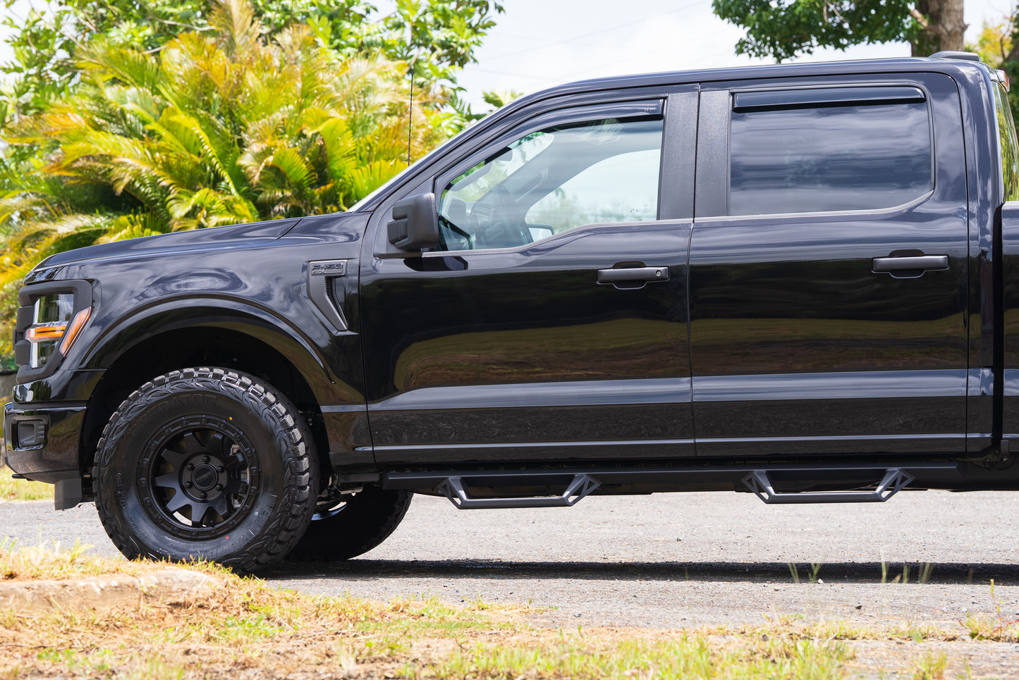 FORD F150 2017-2027 DOUBLE CAB NERF BARS