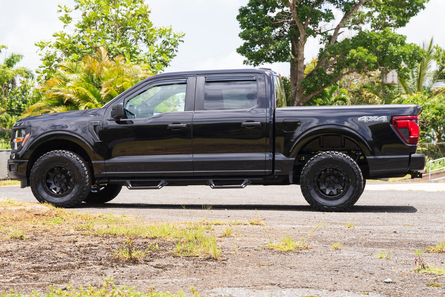 FORD F150 2017-2027 DOUBLE CAB NERF BARS
