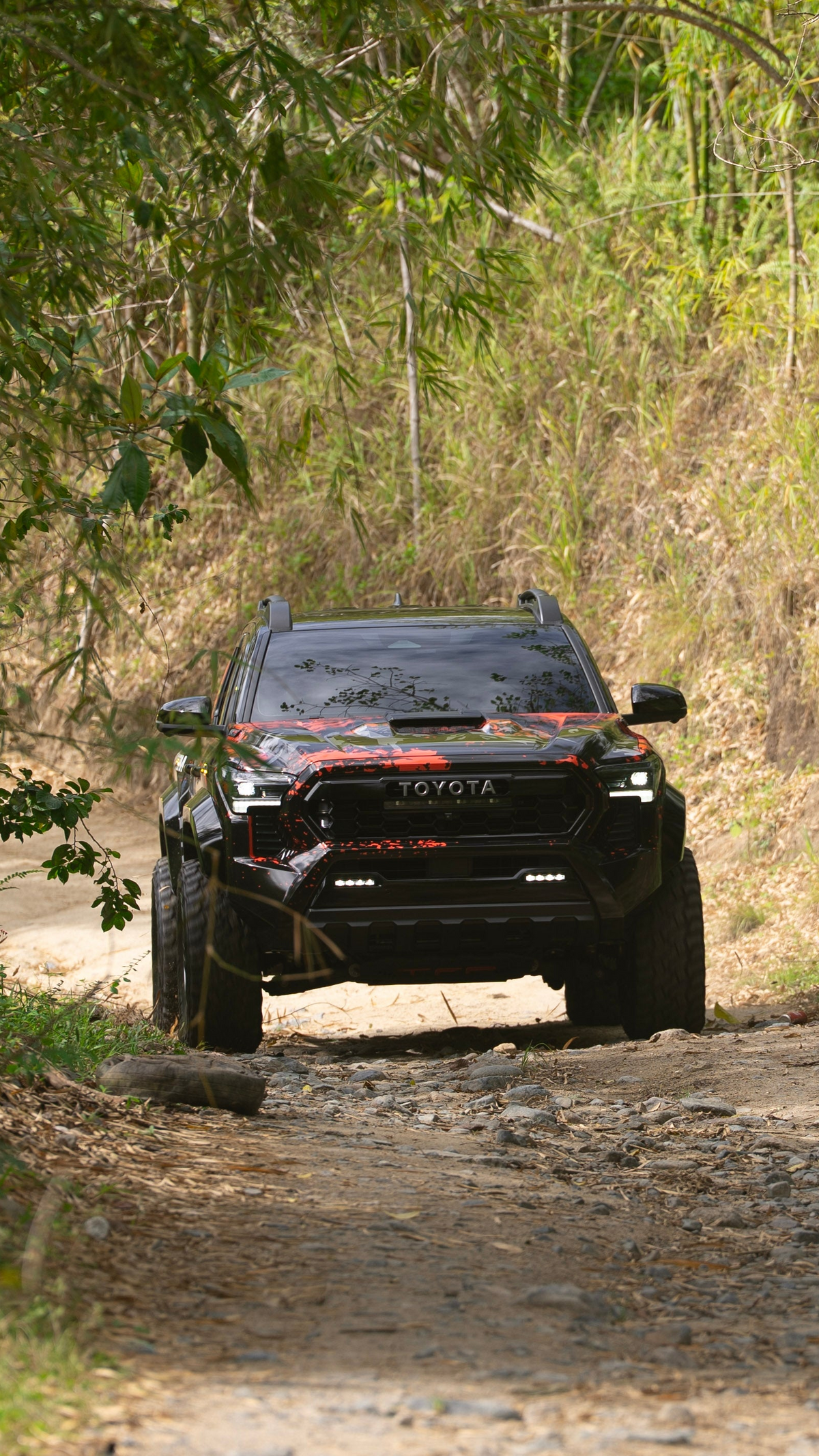 TonnoFlip truck on a forest road